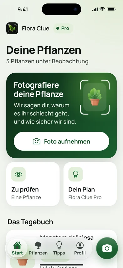 Die Startseite von Flora Clue