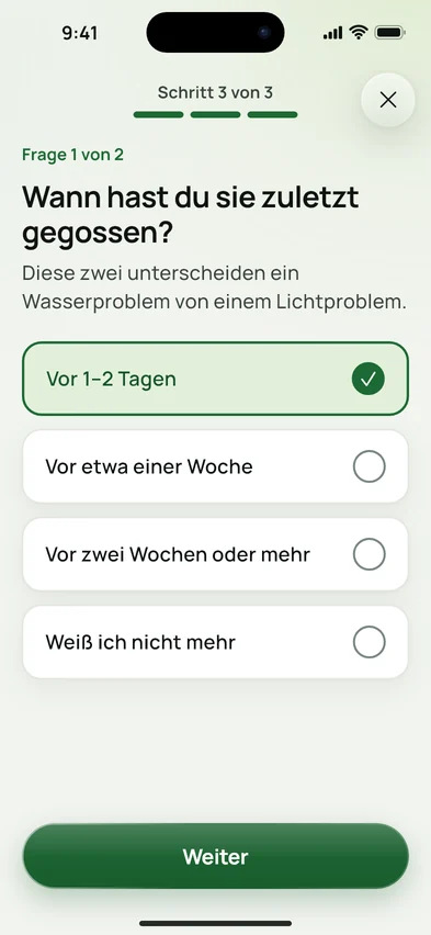 Die Frage „Wann hast du sie zuletzt gegossen?“ mit vier Antworten