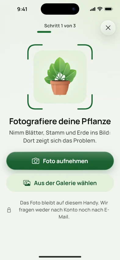 Der Bildschirm zum Fotografieren der Pflanze