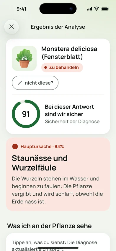 Das Ergebnis einer Analyse in Flora Clue: Monstera deliciosa, Sicherheit 91 von 100, Hauptursache Staunässe mit 83 %