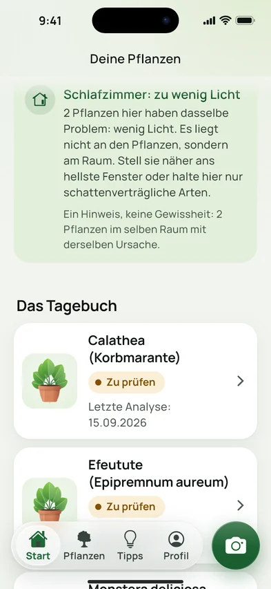Ein Hinweis auf der Startseite: im Schlafzimmer fehlt Licht, zwei Pflanzen haben dasselbe Problem