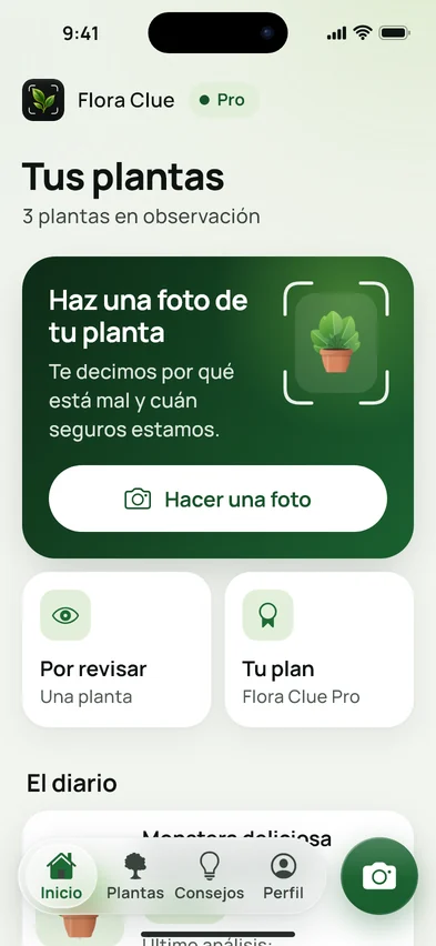 La pantalla de inicio de Flora Clue