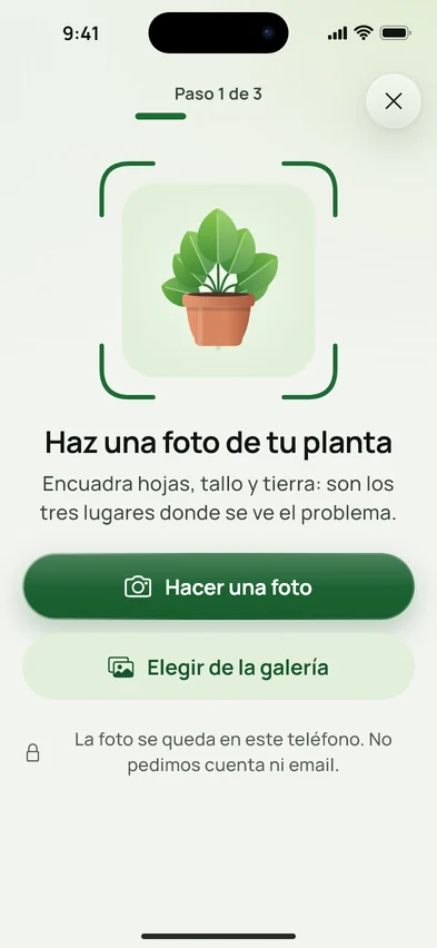 La pantalla para fotografiar la planta