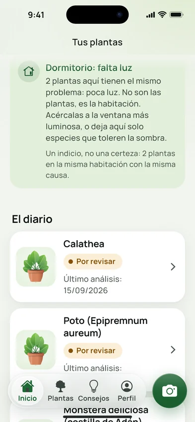 Un aviso en el inicio: en el dormitorio falta luz, dos plantas tienen el mismo problema