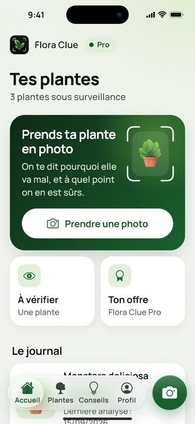 L’écran d’accueil de Flora Clue
