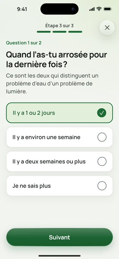 La question « Quand l’as-tu arrosée pour la dernière fois ? » avec quatre réponses