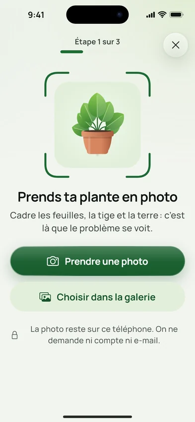 L’écran pour photographier la plante