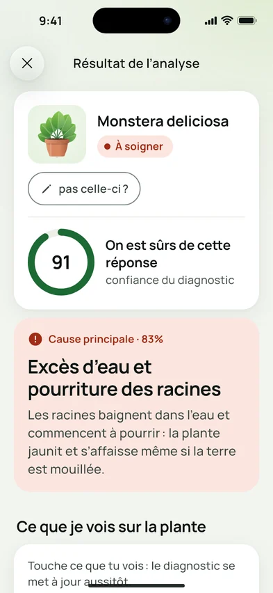 Le résultat d’une analyse dans Flora Clue : Monstera deliciosa, confiance 91 sur 100, cause principale excès d’eau à 83 %