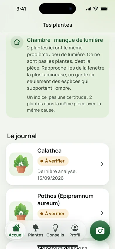 Un avis sur l’accueil : la chambre manque de lumière, deux plantes ont le même problème