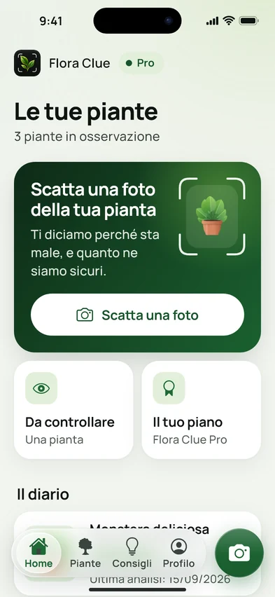 La Home di Flora Clue