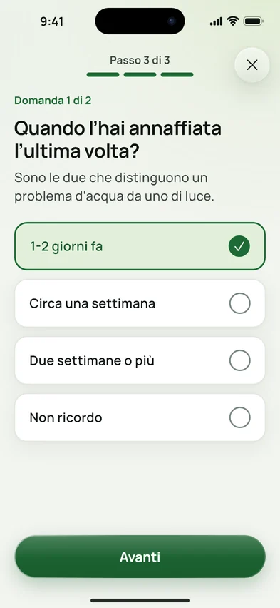 La domanda «Quando l'hai annaffiata l'ultima volta?» con quattro risposte