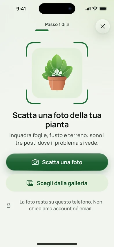 La schermata per fotografare la pianta
