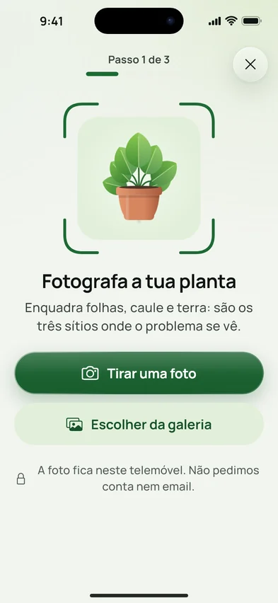 O ecrã para fotografar a planta