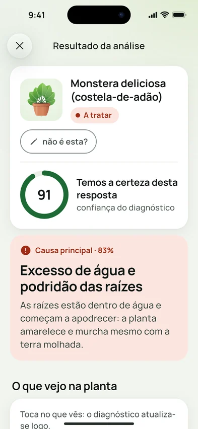 O resultado de uma análise na Flora Clue: Monstera deliciosa, confiança 91 em 100, causa principal excesso de rega a 83%