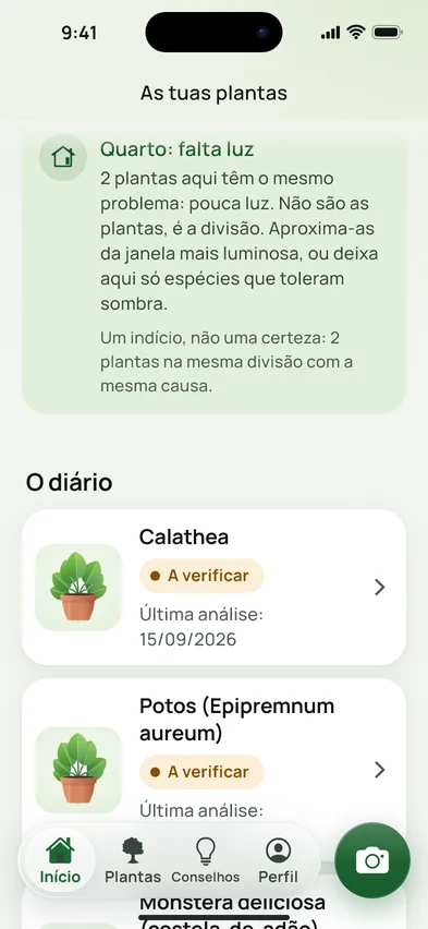 Um aviso no início: no quarto falta luz, duas plantas têm o mesmo problema