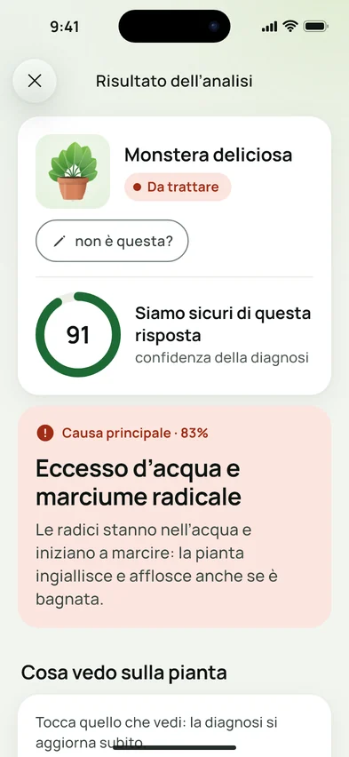 Il risultato di un'analisi in Flora Clue: Monstera deliciosa, confidenza 91 su 100, causa principale eccesso d'acqua all'83%